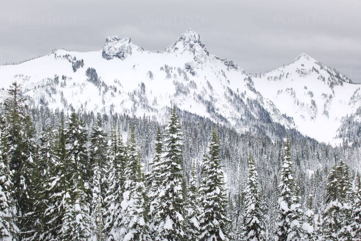 Snow-covered mountain peaks rising above an evergreen forest